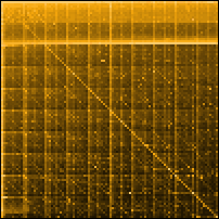 The Secret Lives of Numbers visualization